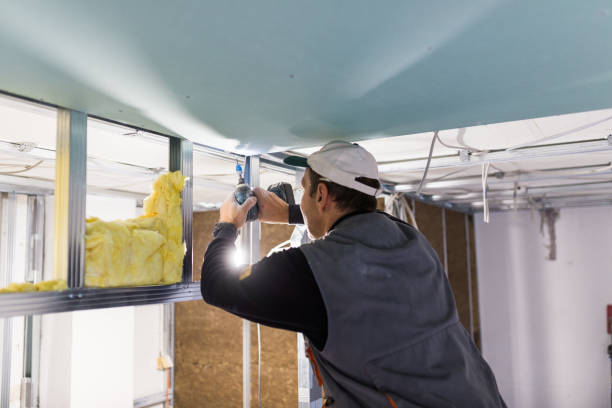 Best Specialized Insulation Services in Annandale, VA