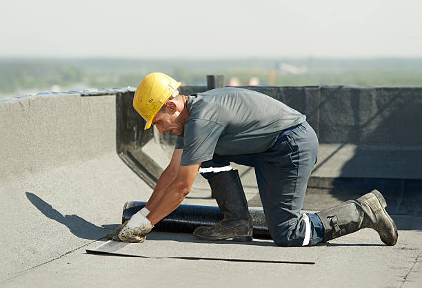 Best DIY Insulation Kits and Guidance in Annandale, VA