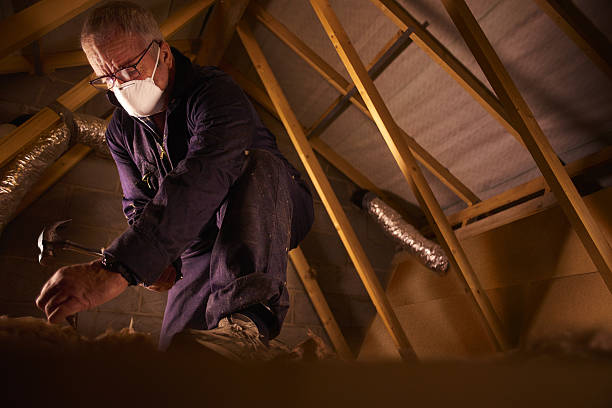 Best Insulation for Specific Applications in Annandale, VA